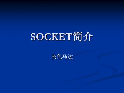 socket简介