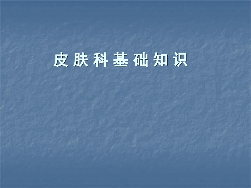 皮肤科基础PPT课件
