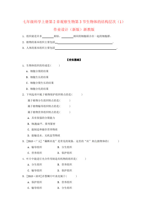 七年级科学上册第2章观察生物第3节生物体的结构层次(1)作业设计(新版)浙教版