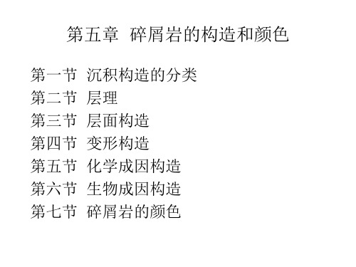 碎屑岩的构造和颜色(名牌石油院校讲义)