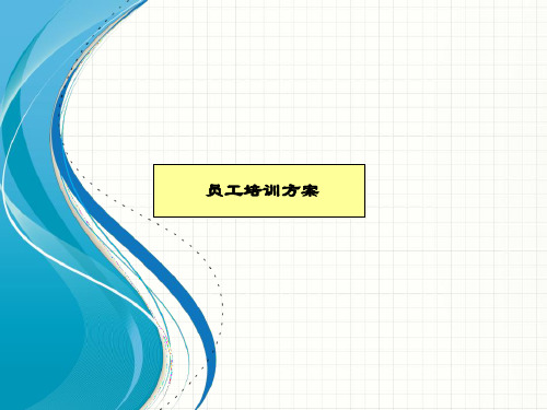 企业咨询-某咨询公司员工培训方案(PPT29页)