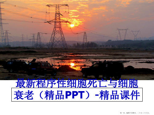 最新程序性细胞死亡与细胞衰老(精品ppt-精品课件