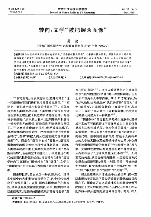 转向：文学“被把握为图像”