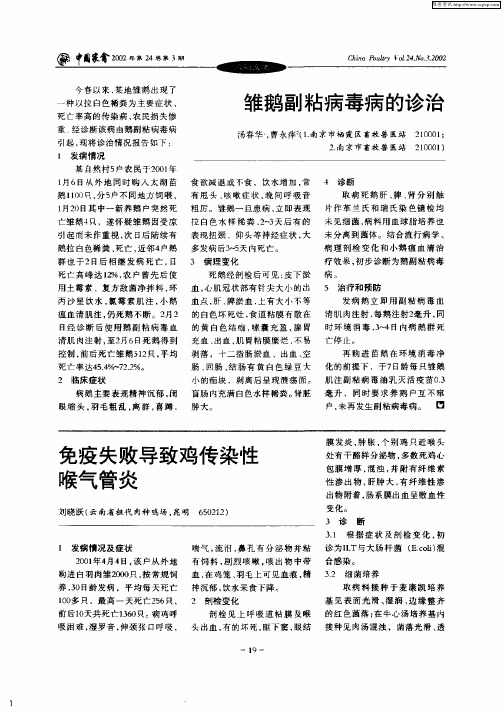雏鹅副粘病毒的诊治