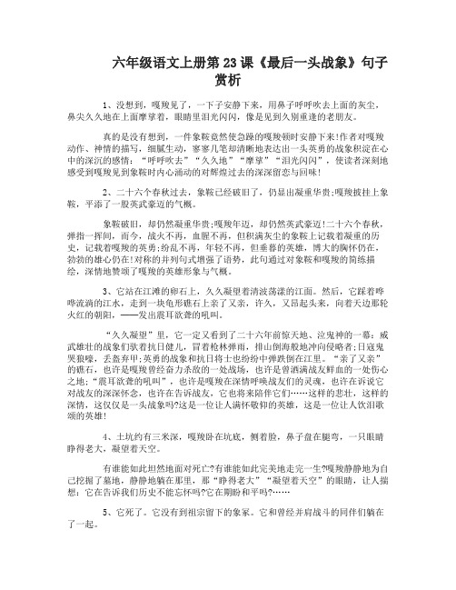 六年级语文上册第23课最后一头战象句子赏析