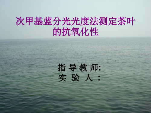 茶叶的抗氧化性测定 演示文稿