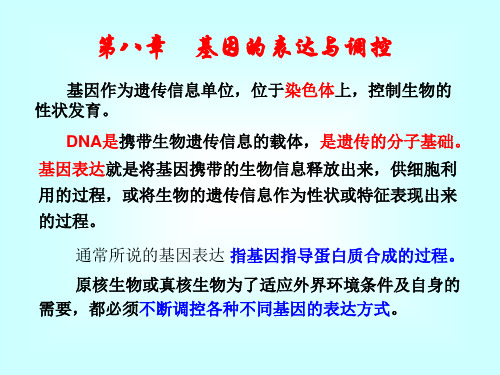 遗传学第三版课件(T)第八章 基因的表达与调控