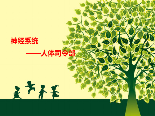 2019学前儿童卫生与保育 第七节  神经系统.ppt