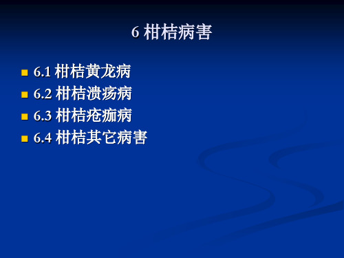 6 柑桔病害  果蔬病害教学课件