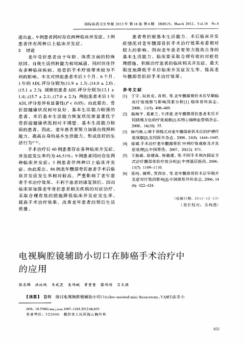电视胸腔镜辅助小切口在肺癌手术治疗中的应用