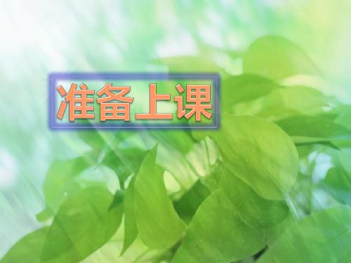 四年级下册数学优秀数学好玩《密铺》北师大版优秀PPT 课件 
