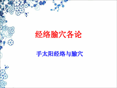 手太阳经络与腧穴