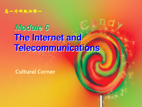 外研 高中英语必修4Module6Cultural Corner