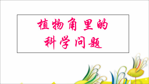 植物角里的科学问题ppt课件