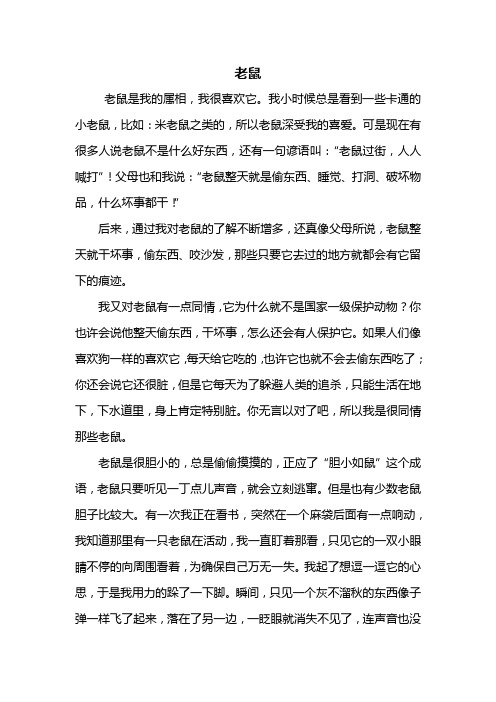 动物作文：老鼠作文600字