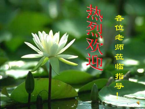 【初中作文】初中作文指导：考场作文“点”出彩ppt