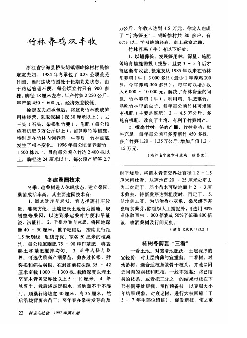 竹林养鸡双丰收