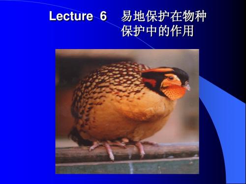Lecture 6