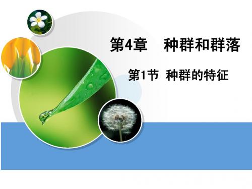 4.1种群的特征