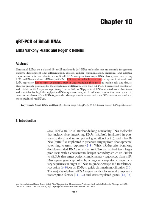 qRT-PCR of Small RNAs