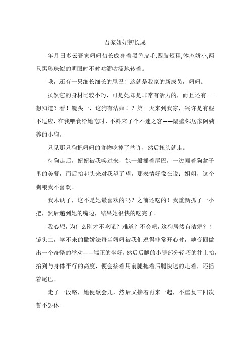 吾家妞妞初长成-作文