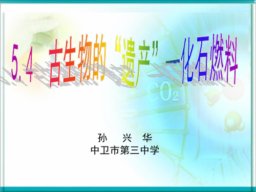 初中化学科粤版九年级上册5.4 古生物的“遗产”——化石燃料