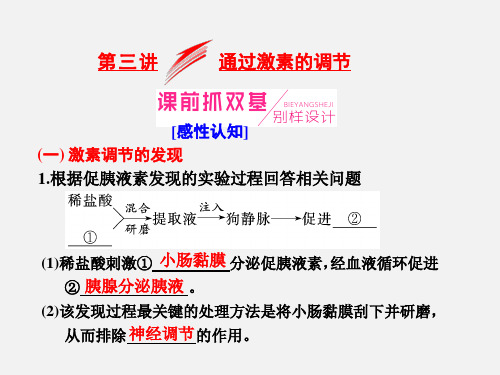 高考生物 一轮复习 动物和人体生命活动的调节 第三讲 通过激素的调节(必修3)