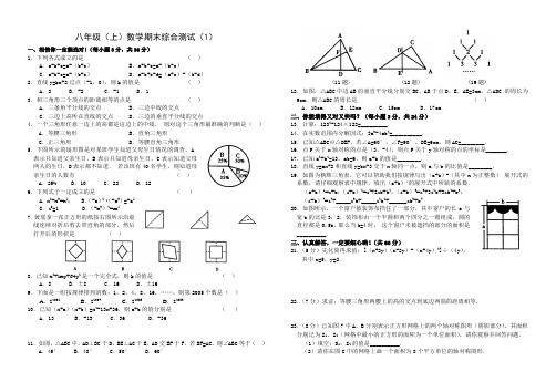 人教版八年级上数学期末考试试卷(免费、15套)