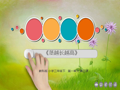 【课件设计】茎越长越高_科学_小学 教科版 三年级下