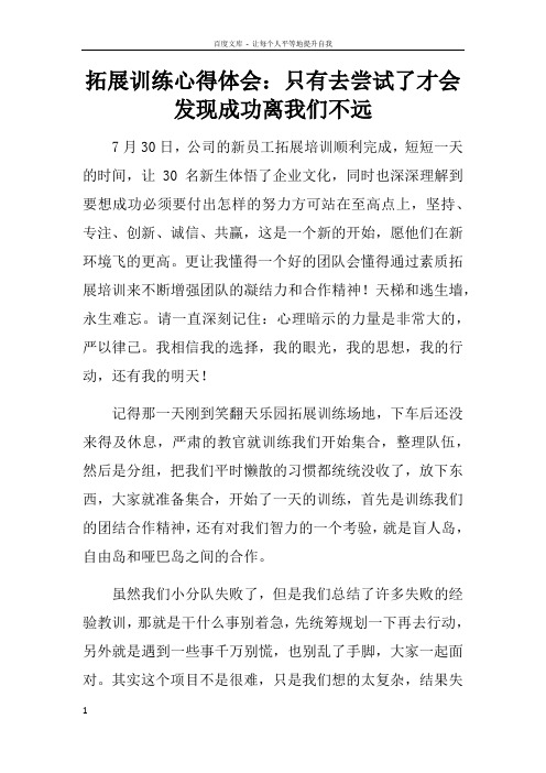 拓展训练心得体会只有去尝试了才会发现成功离我们不远doc