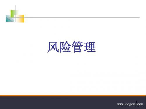 担保企业及业务的风险管理