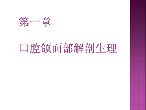 口腔颌面部解剖_图文
