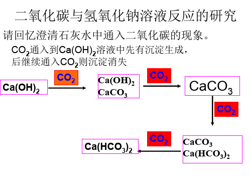 二氧化碳与氢氧化钠溶液反应的研究(201911整理)