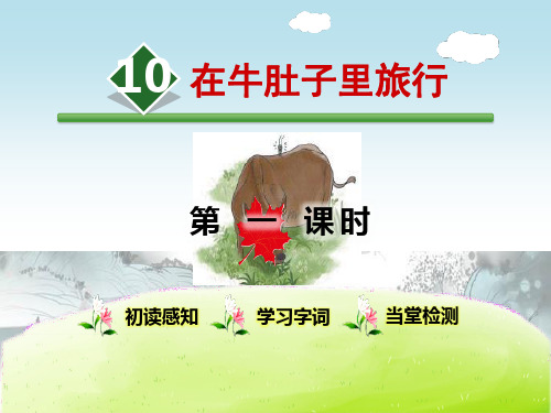 《在牛肚子里旅行》PPT(第一课时)演示课件