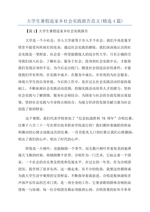 大学生暑假返家乡社会实践报告范文(精选4篇)