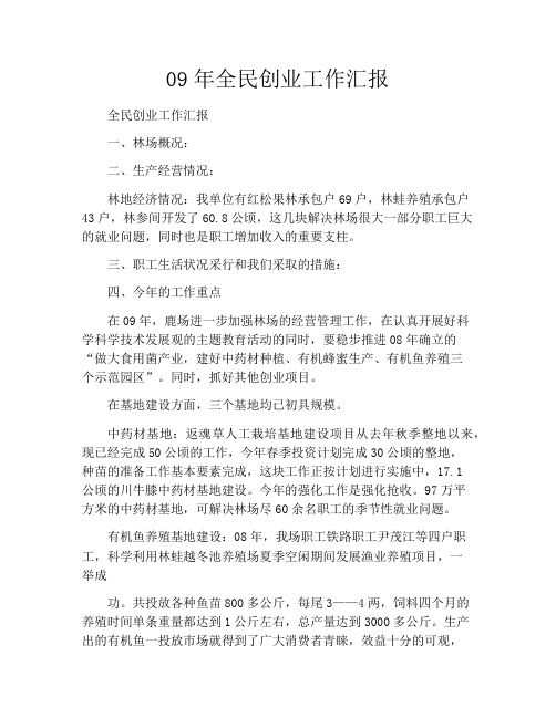 09年全民创业工作汇报
