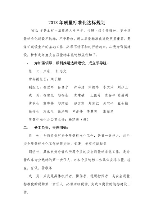 2013年煤矿质量标准化达标规划