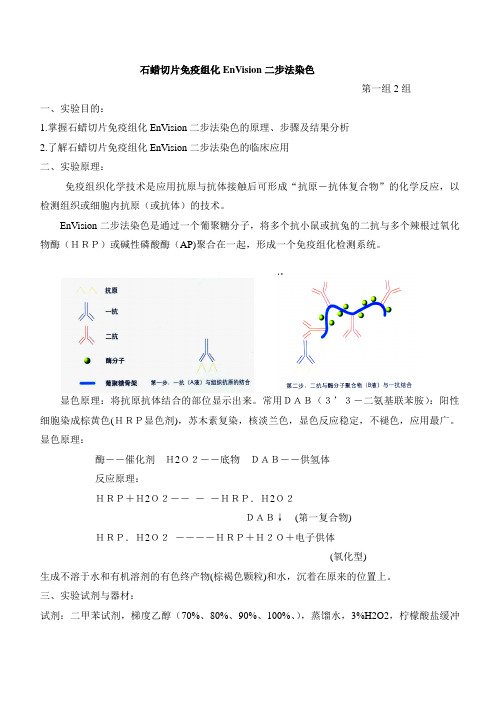 免疫组化EnVision二步法染色