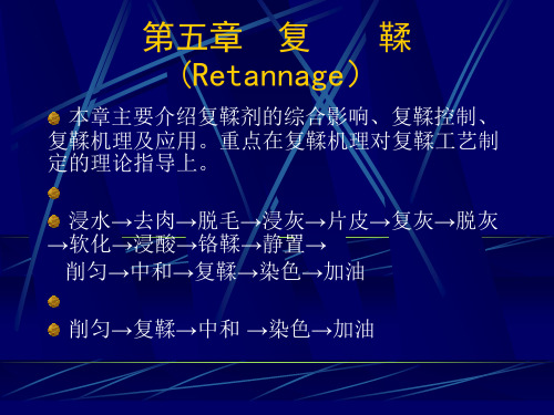 鞣制化学 第五章