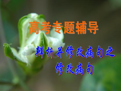 病句3