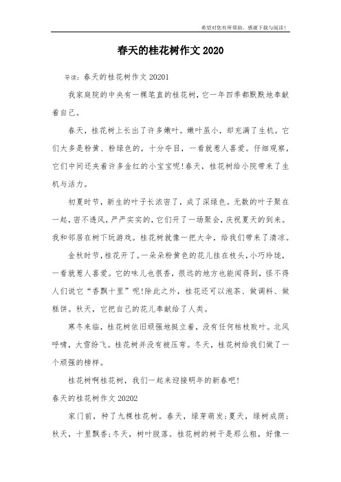 春天的桂花树作文2020