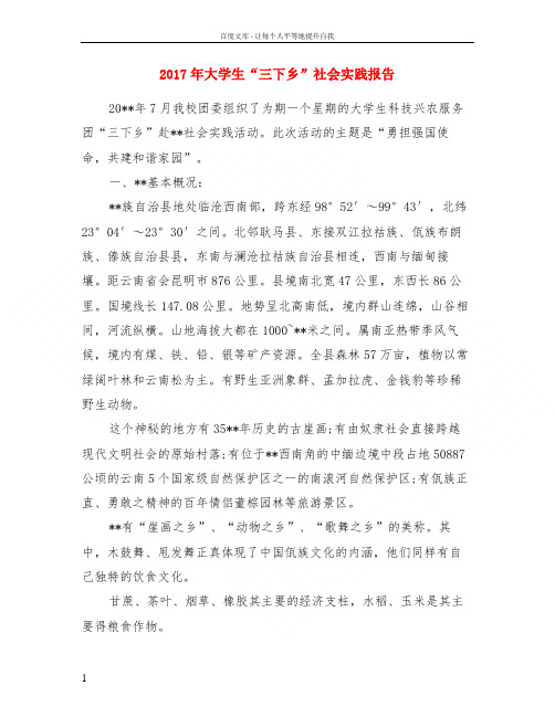 2017年大学生“三下乡”社会实践报告