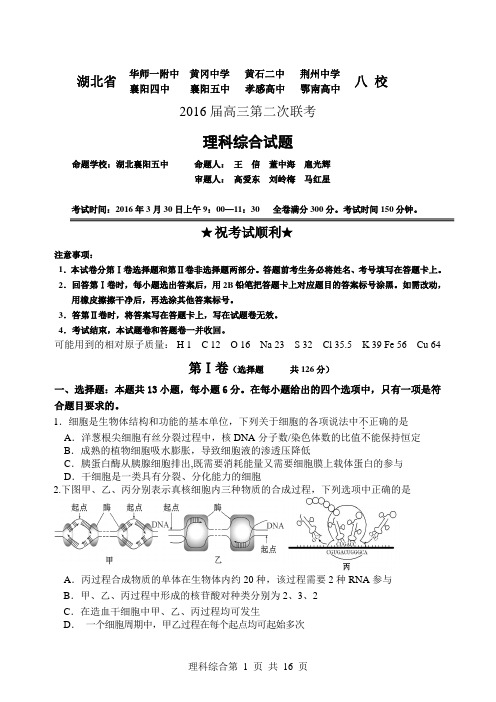 湖北黄冈2016 理综试题