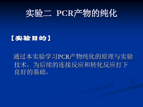 PCR产物的纯化