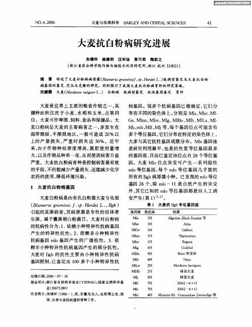 大麦抗白粉病研究进展