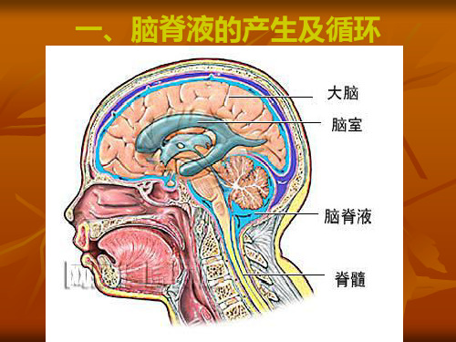 脑积水治疗和护理副本精品PPT课件