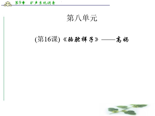 高中语文(人教选修 中国小说欣赏)课件：第16课《骆驼祥子》——高妈