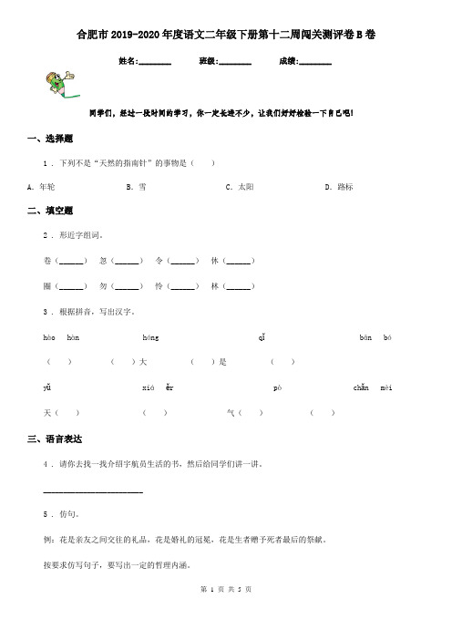 合肥市2019-2020年度语文二年级下册第十二周闯关测评卷B卷