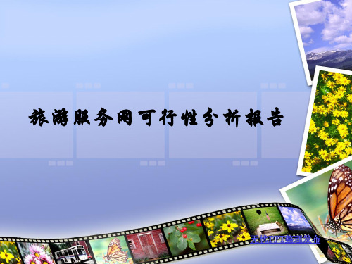 旅游网站可行性报告