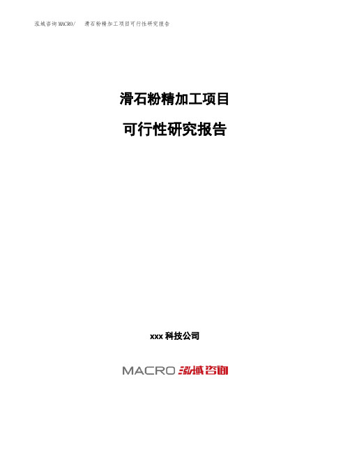 (投资参考建议模板)滑石粉精加工项目可行性研究报告